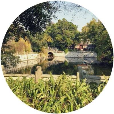 老爹圣代曲奇店官方免费版下载