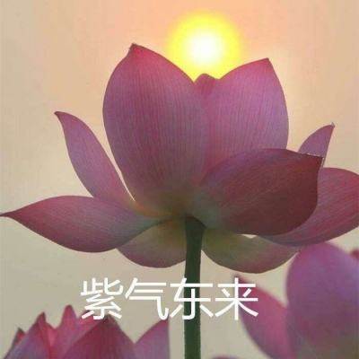 果子游戏挑斗三国下载